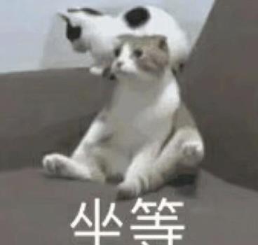 帝君在线带娃,刘学义新剧太上头