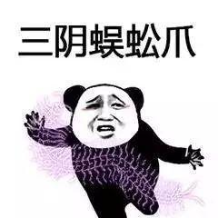 熊猫头武功斗图表情包朋友过两招佛山黄飞鸿请赐教