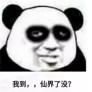 修仙表情包不睡觉修仙表情包黑眼圈熊猫修仙表情包