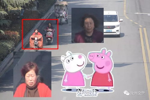 曝光任性的非机动车和行人附送精美表情包