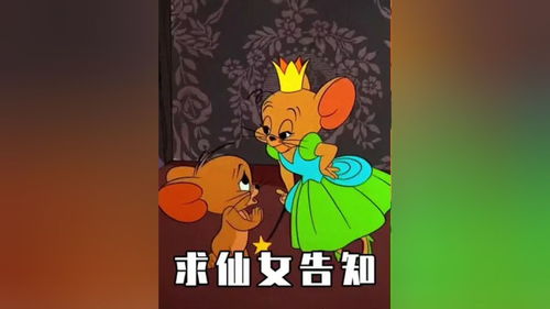对象生气怎么哄表情包猫和老鼠