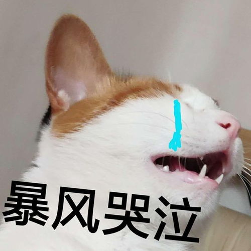 补维生素真的是智商税吗看过这组数据的人才懂......