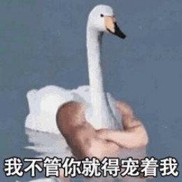 网红比心鸭子表情包哪里有最新最全比心鸭子表情包分享