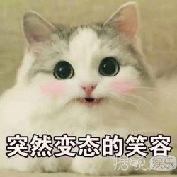 港版101全民造星连节目组都忍不住吐槽,到底是怎样节目