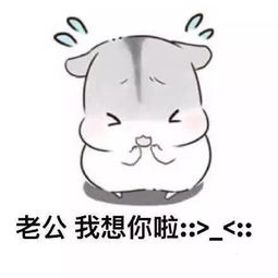 喊老公什么梗表情包小仓鼠版