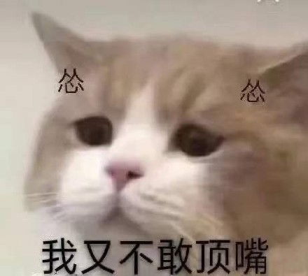 来一份可可爱爱的表情包吧2021.09.04