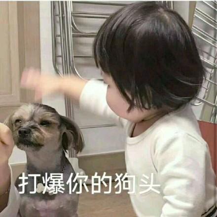 罗熙表情包合集关我屁事