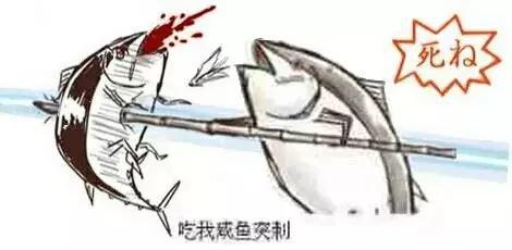 亮剑中李云龙用穿插战术抓住常乃超,为什么国民党不用这招呢