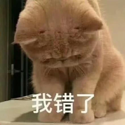 对不起表情包哭着认错