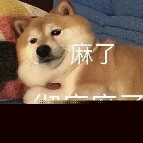 一波柴犬表情包,拿好不谢