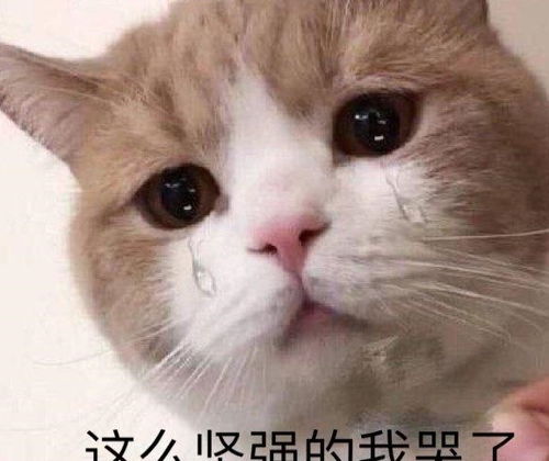 可怜喵喵,表情包是我不够可怜了咩