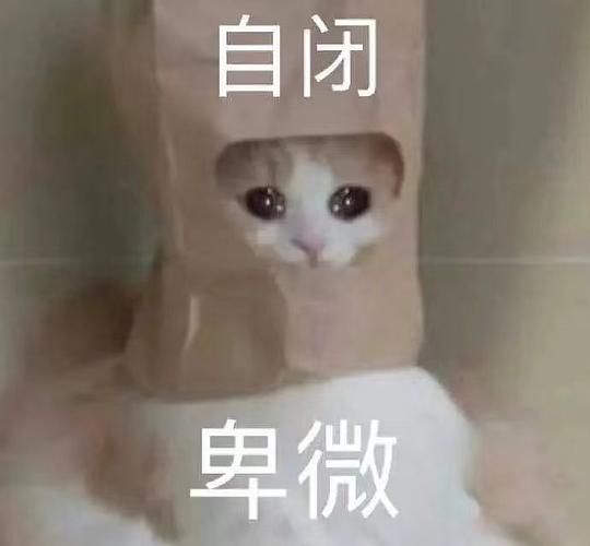 梨绘的相册喵
