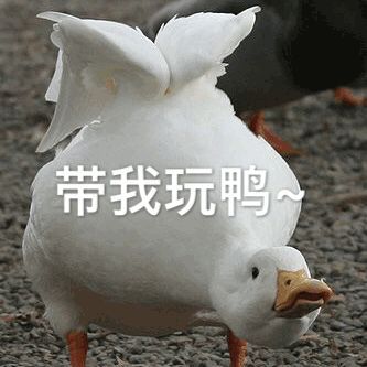 云澜湾网红盛宴,女王温泉派对邀你来打卡