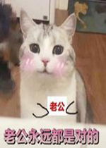 老公