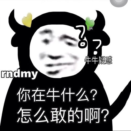 表情包520与你无关