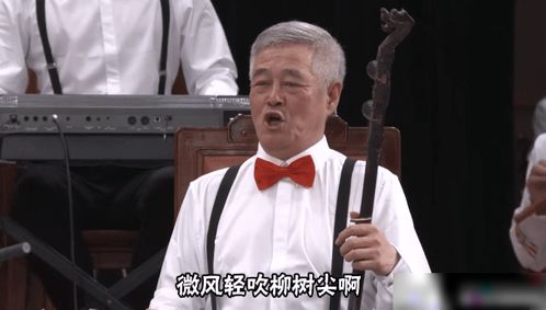 赵本山与宋小宝等徒弟演奏二人转,头发花白啤酒肚惊人表情超魔性