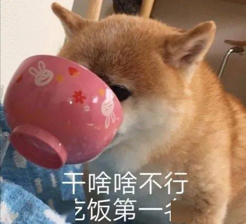 为什么你喜欢在屏幕前看别人大吃大喝