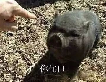 男朋友是个宜信人,我差点没有嫁给他