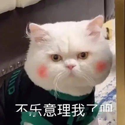 表情包这样聊天的女生太可爱了