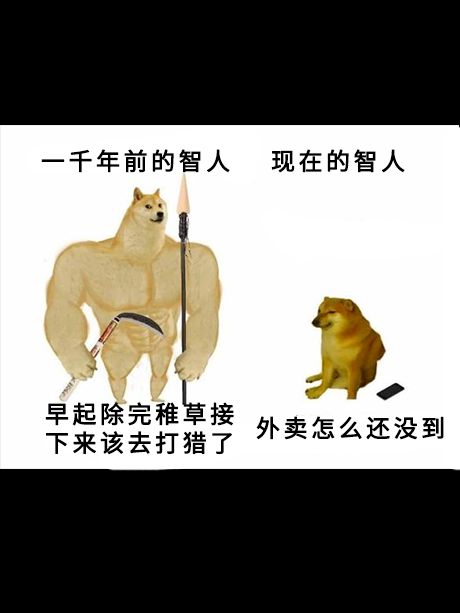 废柴表情包小狗去世,治愈梗图永存