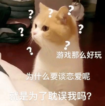 猫咪表情包你居然只打游戏,不理我