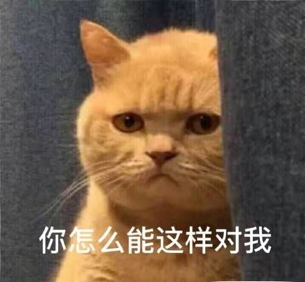 暗中委屈橘猫表情原图无水印