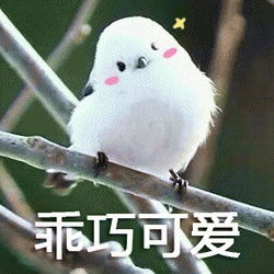 傲娇乖巧表情图片暗中乖巧表情包下载乐游网游戏下载