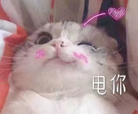 美人无性别,而他就是顶级男色的巅峰之一