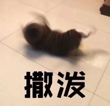 表情包帮我关下月亮,谢谢