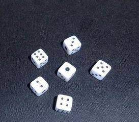 塑料骰子游戏棋麻将色子骰粒筛子玩具甩子酒吧ktv头子批发