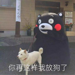 动物园以狗充狼别笑,汽车圈的山寨比这更乱