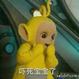 笑话咱们领导来上任之前肯定是当演员的......