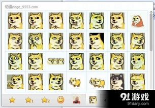 动态doge表情包
