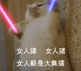 猫挥舞荧光棒表情包gif合集猫拿荧光棒表情动态图片