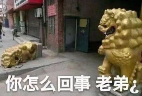 狗头人系列表情包老弟
