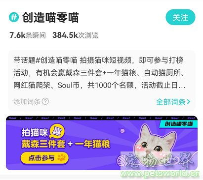 公然吸猫soul脑洞大开晒萌宠