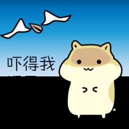 表情包打包qnq