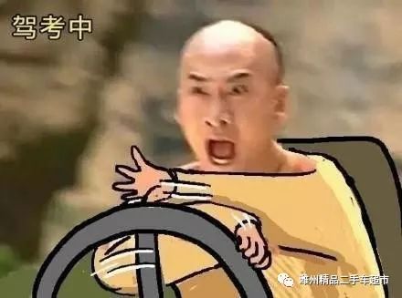 驾考表情包倒车入库