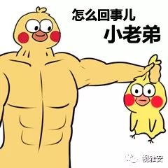 鸡你太美图片表情包外公