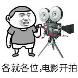 开机了由王导执导的电影感恩在我校开拍