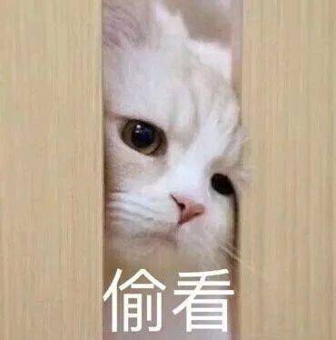 有意思有意义街道这个学习拓展活动分享给你