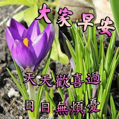 8月5日清晨早上好祝福语动态图,很美的早上好祝福图片表情动图