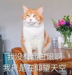 原创回南天,我要和你抗争到底