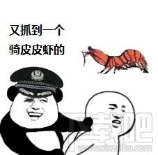 皮皮虾我们走出自哪里皮皮虾我们走表情包下载地址