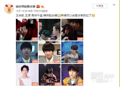 添福宝嫌弃脸集合,当做表情包刚刚好