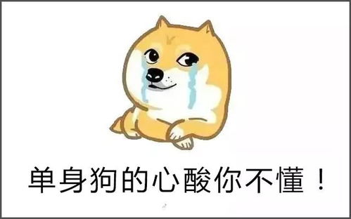 温比亚今夜杀到河南周口明天可能会有大暴雨