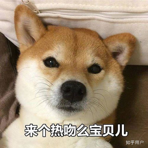如何评价b站up主青色小柚子