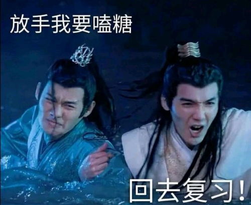 陈情令魔性表情包魏婴看了会沉默,蓝湛看了想打人不看你会后悔的