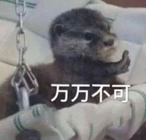 聊天必备表情包第22期