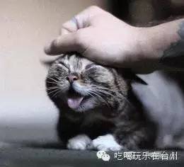 在台州每天都停不下来,就是这么搞笑